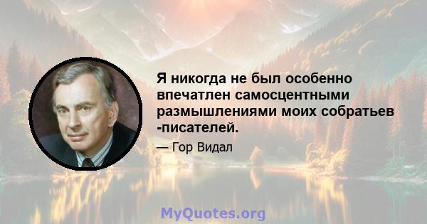 Я никогда не был особенно впечатлен самосцентными размышлениями моих собратьев -писателей.