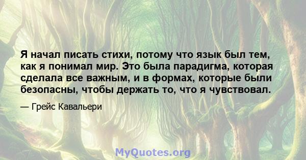 Я начал писать стихи, потому что язык был тем, как я понимал мир. Это была парадигма, которая сделала все важным, и в формах, которые были безопасны, чтобы держать то, что я чувствовал.