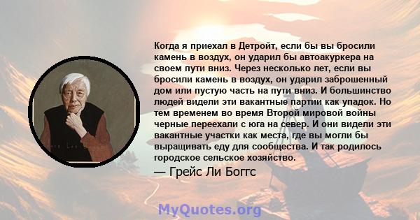 Когда я приехал в Детройт, если бы вы бросили камень в воздух, он ударил бы автоакуркера на своем пути вниз. Через несколько лет, если вы бросили камень в воздух, он ударил заброшенный дом или пустую часть на пути вниз. 