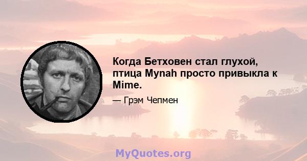 Когда Бетховен стал глухой, птица Mynah просто привыкла к Mime.