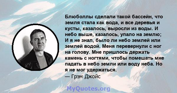 Блюболлы сделали такой бассейн, что земля стала как вода, и все деревья и кусты, казалось, выросли из воды. И небо выше, казалось, упало на землю; И я не знал, было ли небо землей или землей водой. Меня перевернули с