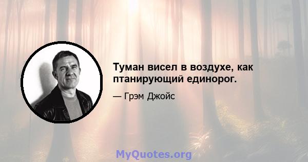 Туман висел в воздухе, как птанирующий единорог.