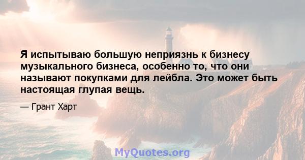 Я испытываю большую неприязнь к бизнесу музыкального бизнеса, особенно то, что они называют покупками для лейбла. Это может быть настоящая глупая вещь.