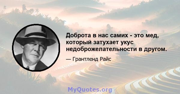 Доброта в нас самих - это мед, который затухает укус недоброжелательности в другом.