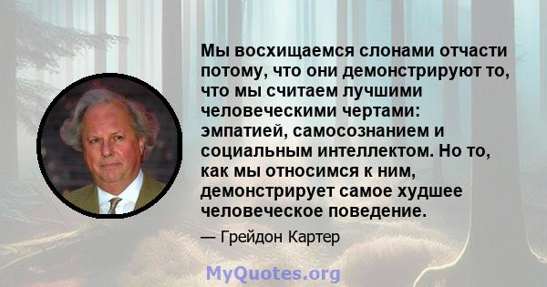 Мы восхищаемся слонами отчасти потому, что они демонстрируют то, что мы считаем лучшими человеческими чертами: эмпатией, самосознанием и социальным интеллектом. Но то, как мы относимся к ним, демонстрирует самое худшее