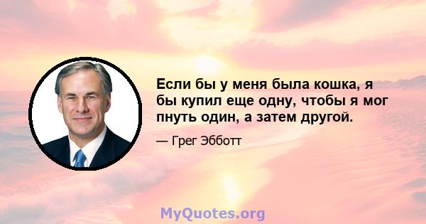 Если бы у меня была кошка, я бы купил еще одну, чтобы я мог пнуть один, а затем другой.