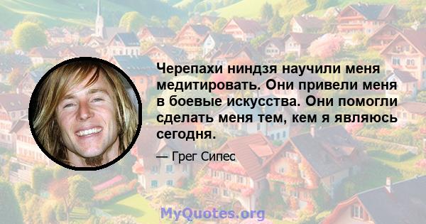 Черепахи ниндзя научили меня медитировать. Они привели меня в боевые искусства. Они помогли сделать меня тем, кем я являюсь сегодня.