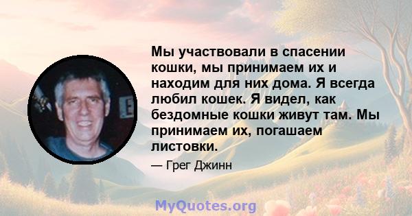 Мы участвовали в спасении кошки, мы принимаем их и находим для них дома. Я всегда любил кошек. Я видел, как бездомные кошки живут там. Мы принимаем их, погашаем листовки.