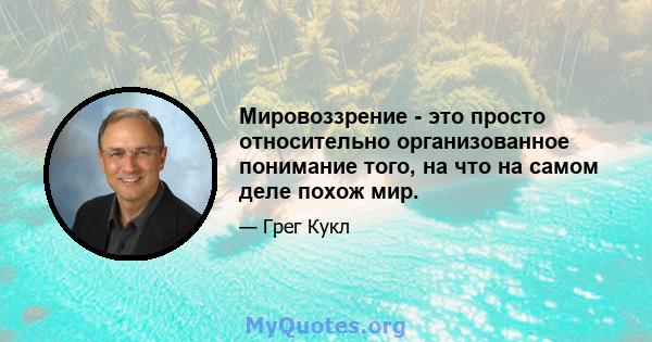 Мировоззрение - это просто относительно организованное понимание того, на что на самом деле похож мир.