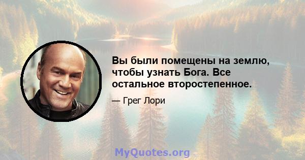 Вы были помещены на землю, чтобы узнать Бога. Все остальное второстепенное.