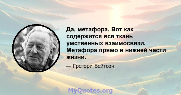 Да, метафора. Вот как содержится вся ткань умственных взаимосвязи. Метафора прямо в нижней части жизни.