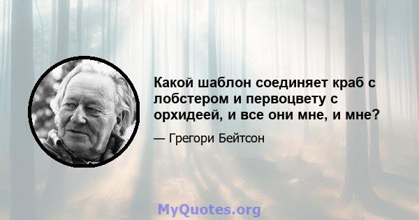 Какой шаблон соединяет краб с лобстером и первоцвету с орхидеей, и все они мне, и мне?