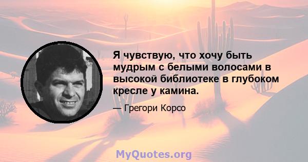 Я чувствую, что хочу быть мудрым с белыми волосами в высокой библиотеке в глубоком кресле у камина.