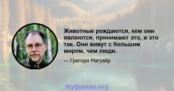 Животные рождаются, кем они являются, принимают это, и это так. Они живут с большим миром, чем люди.