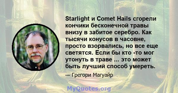 Starlight и Comet Hails сгорели кончики бесконечной травы внизу в забитое серебро. Как тысячи конусов в часовне, просто взорвались, но все еще светятся. Если бы кто -то мог утонуть в траве ... это может быть лучший