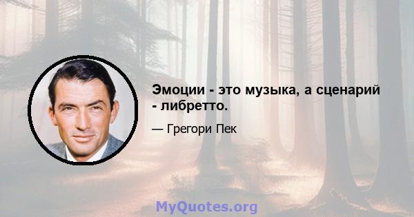 Эмоции - это музыка, а сценарий - либретто.