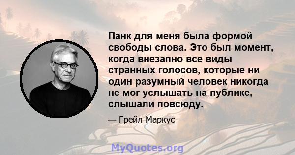 Панк для меня была формой свободы слова. Это был момент, когда внезапно все виды странных голосов, которые ни один разумный человек никогда не мог услышать на публике, слышали повсюду.