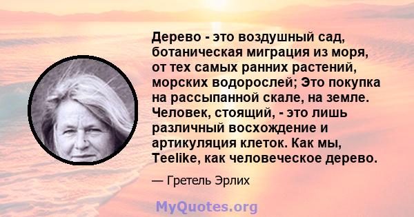 Дерево - это воздушный сад, ботаническая миграция из моря, от тех самых ранних растений, морских водорослей; Это покупка на рассыпанной скале, на земле. Человек, стоящий, - это лишь различный восхождение и артикуляция