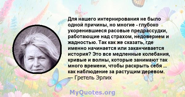 Для нашего интернирования не было одной причины, но многие - глубоко укоренившиеся расовые предрассудки, работающие над страхом, недоверием и жадностью. Так как же сказать, где именно начинается или заканчивается