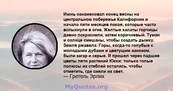 Июнь ознаменовал конец весны на центральном побережье Калифорнии и начало пяти месяцев покоя, которые часто вспыхнули в огне. Желтые халаты горчицы давно покраснели, затем коричневый. Туман и солнце смешаны, чтобы