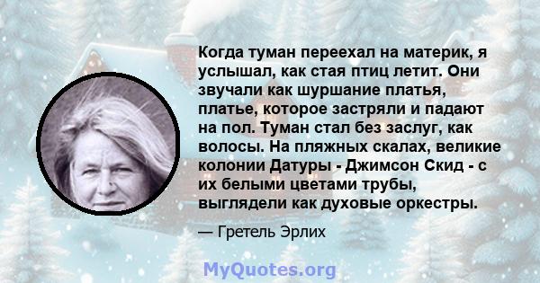 Когда туман переехал на материк, я услышал, как стая птиц летит. Они звучали как шуршание платья, платье, которое застряли и падают на пол. Туман стал без заслуг, как волосы. На пляжных скалах, великие колонии Датуры -