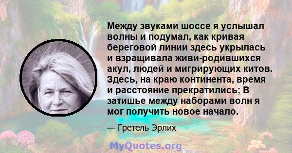 Между звуками шоссе я услышал волны и подумал, как кривая береговой линии здесь укрылась и взращивала живи-родившихся акул, людей и мигрирующих китов. Здесь, на краю континента, время и расстояние прекратились; В