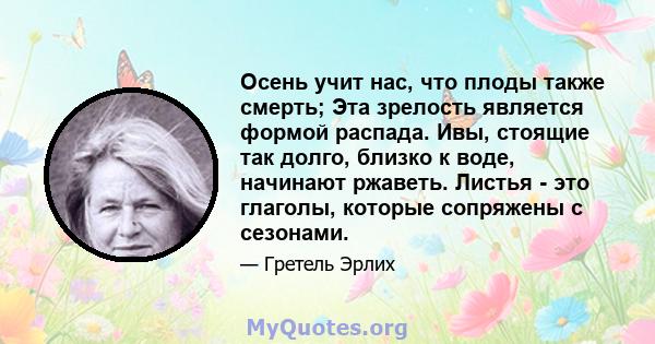 Осень учит нас, что плоды также смерть; Эта зрелость является формой распада. Ивы, стоящие так долго, близко к воде, начинают ржаветь. Листья - это глаголы, которые сопряжены с сезонами.