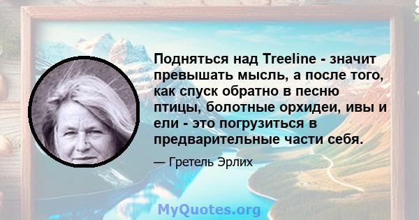 Подняться над Treeline - значит превышать мысль, а после того, как спуск обратно в песню птицы, болотные орхидеи, ивы и ели - это погрузиться в предварительные части себя.