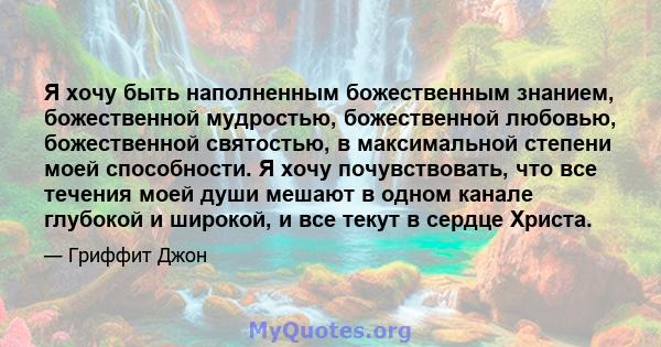 Я хочу быть наполненным божественным знанием, божественной мудростью, божественной любовью, божественной святостью, в максимальной степени моей способности. Я хочу почувствовать, что все течения моей души мешают в одном 