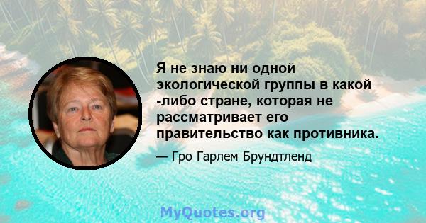 Я не знаю ни одной экологической группы в какой -либо стране, которая не рассматривает его правительство как противника.