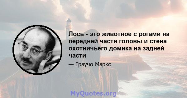 Лось - это животное с рогами на передней части головы и стена охотничьего домика на задней части