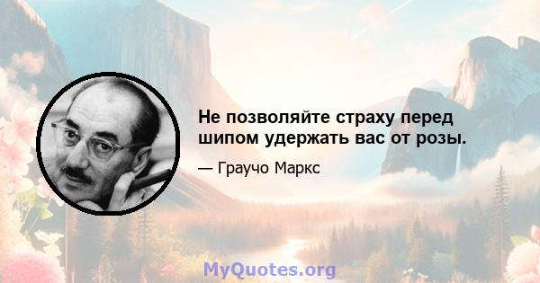 Не позволяйте страху перед шипом удержать вас от розы.