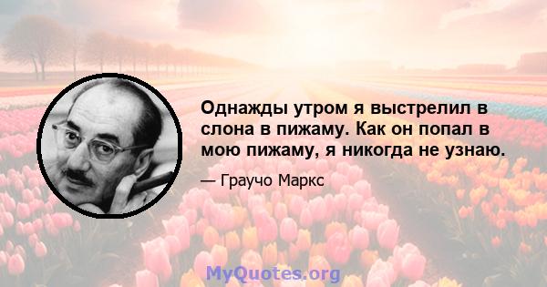 Однажды утром я выстрелил в слона в пижаму. Как он попал в мою пижаму, я никогда не узнаю.