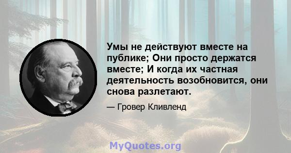 Умы не действуют вместе на публике; Они просто держатся вместе; И когда их частная деятельность возобновится, они снова разлетают.