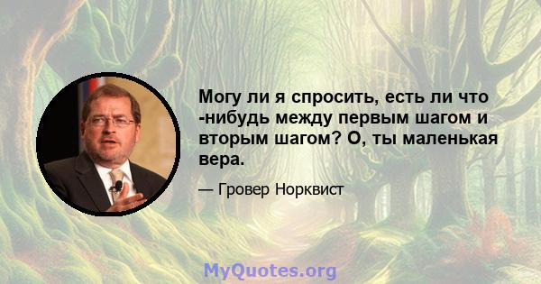 Могу ли я спросить, есть ли что -нибудь между первым шагом и вторым шагом? О, ты маленькая вера.