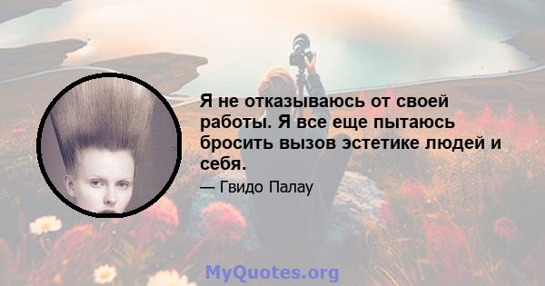 Я не отказываюсь от своей работы. Я все еще пытаюсь бросить вызов эстетике людей и себя.