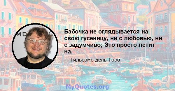 Бабочка не оглядывается на свою гусеницу, ни с любовью, ни с задумчиво; Это просто летит на.