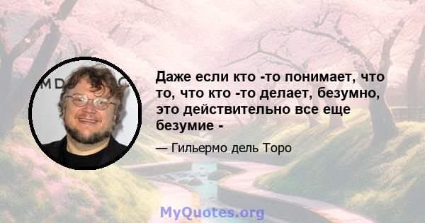 Даже если кто -то понимает, что то, что кто -то делает, безумно, это действительно все еще безумие -