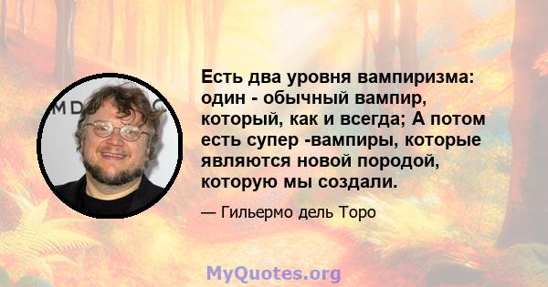 Есть два уровня вампиризма: один - обычный вампир, который, как и всегда; А потом есть супер -вампиры, которые являются новой породой, которую мы создали.