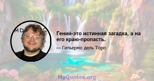 Гений-это истинная загадка, а на его краю-пропасть.