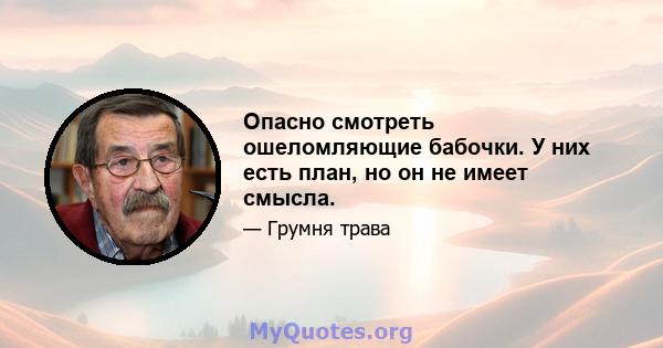 Опасно смотреть ошеломляющие бабочки. У них есть план, но он не имеет смысла.