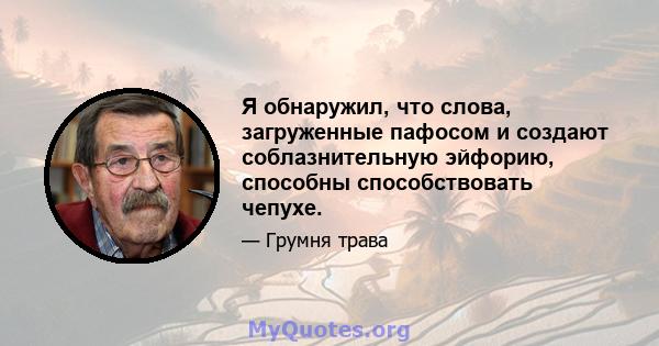 Я обнаружил, что слова, загруженные пафосом и создают соблазнительную эйфорию, способны способствовать чепухе.