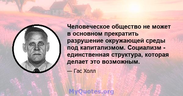 Человеческое общество не может в основном прекратить разрушение окружающей среды под капитализмом. Социализм - единственная структура, которая делает это возможным.