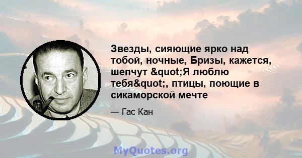 Звезды, сияющие ярко над тобой, ночные, Бризы, кажется, шепчут "Я люблю тебя", птицы, поющие в сикаморской мечте