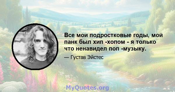 Все мои подростковые годы, мой панк был хип -хопом - я только что ненавидел поп -музыку.