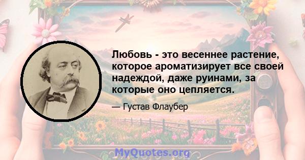 Любовь - это весеннее растение, которое ароматизирует все своей надеждой, даже руинами, за которые оно цепляется.