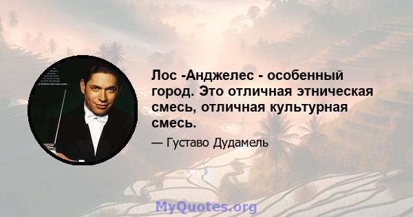 Лос -Анджелес - особенный город. Это отличная этническая смесь, отличная культурная смесь.