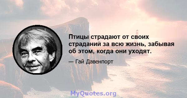 Птицы страдают от своих страданий за всю жизнь, забывая об этом, когда они уходят.