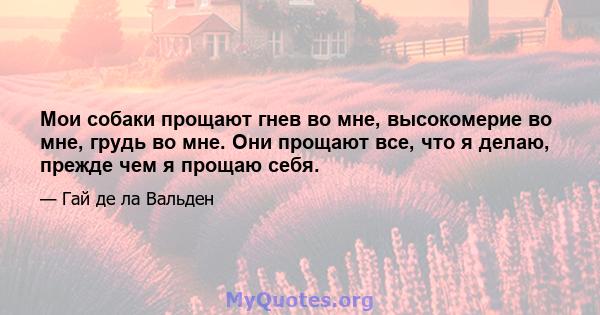 Мои собаки прощают гнев во мне, высокомерие во мне, грудь во мне. Они прощают все, что я делаю, прежде чем я прощаю себя.