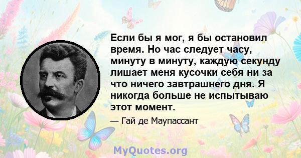 Если бы я мог, я бы остановил время. Но час следует часу, минуту в минуту, каждую секунду лишает меня кусочки себя ни за что ничего завтрашнего дня. Я никогда больше не испытываю этот момент.